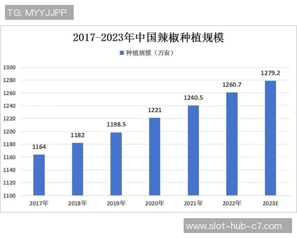 足球明星代言费的市场现状与未来发展趋势分析